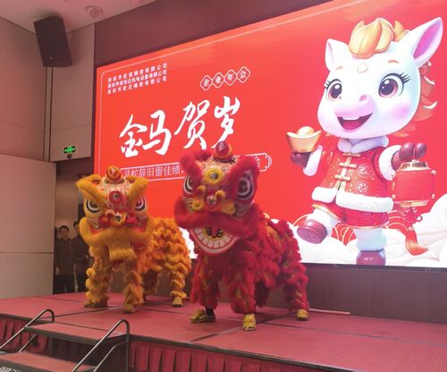 Derniers blogs de l'entreprise sur Shenzhen Hongsinn Precision Co., Ltd. a accueilli avec succès son gala annuel 2025